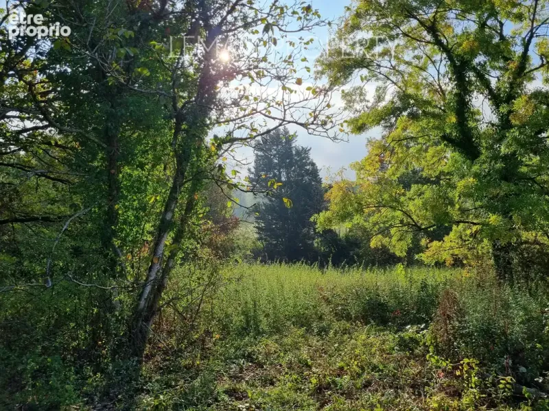 Photo Terrain à Janvry au prix de 221 000€