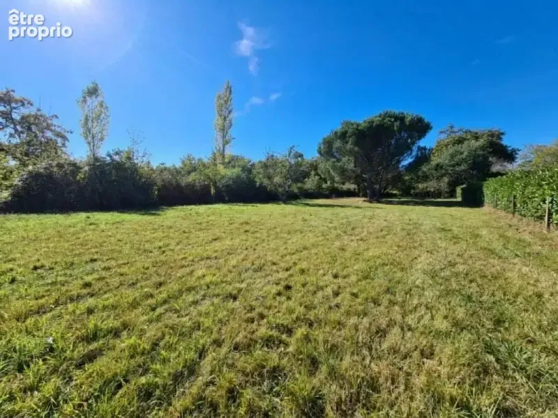 Photo Terrain à Sabres au prix de 55 000€