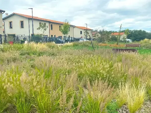 Photo Terrain à Montanay au prix de 179 000€