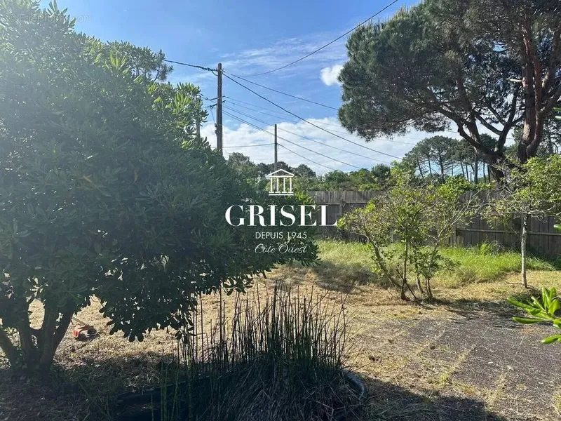 Photo Maison à Lege-Cap-Ferret au prix de 790 000€
