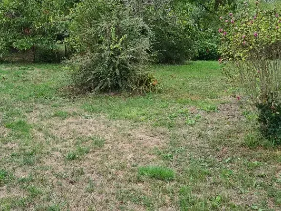 Photo Terrain à Sadirac au prix de 98 000€