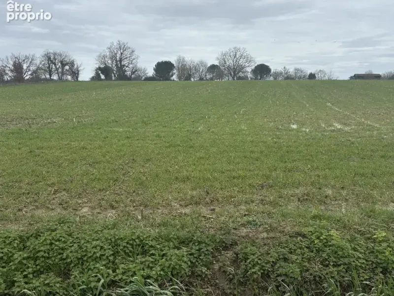 Photo Terrain à Cocumont au prix de 38 000€