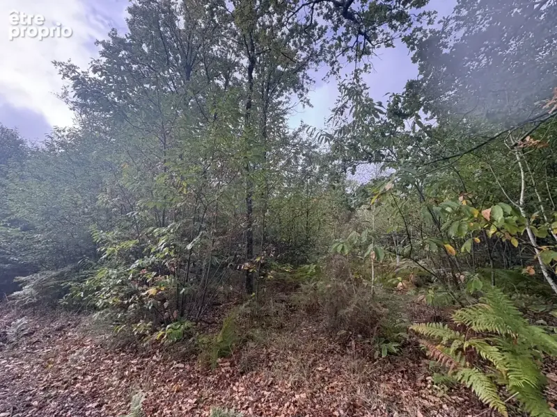 Photo Maison à La Breille-Les-Pins au prix de 206 700€