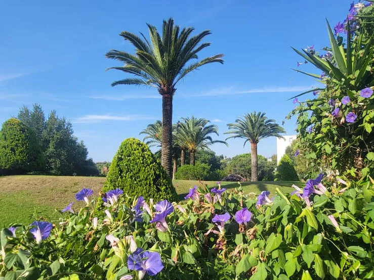 Photo Appartement à Cagnes-Sur-Mer au prix de 255 000€