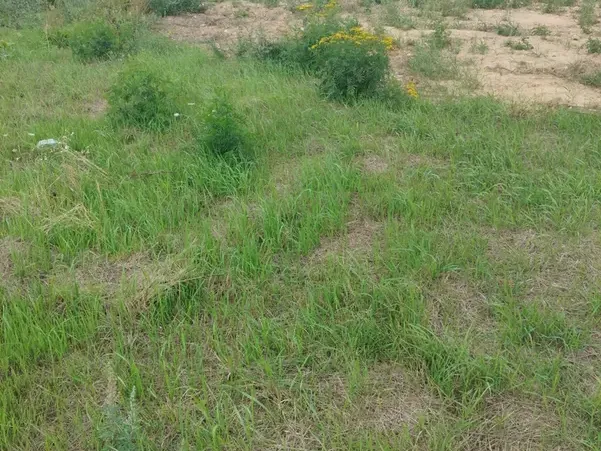 Photo Terrain à Saint-Aubin-Sous-Erquery au prix de 62 300€
