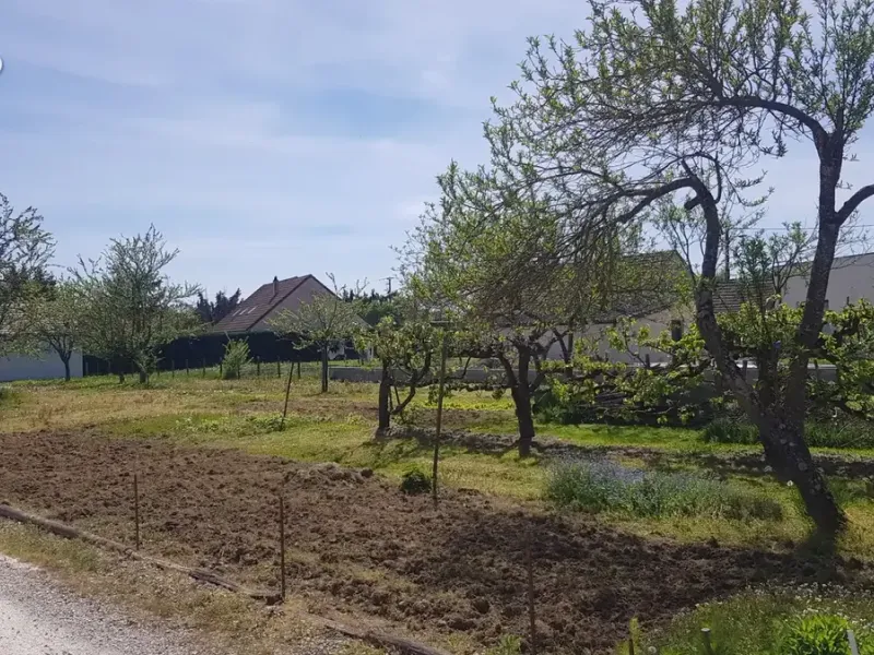 Photo Terrain à Gergy au prix de 58 300€