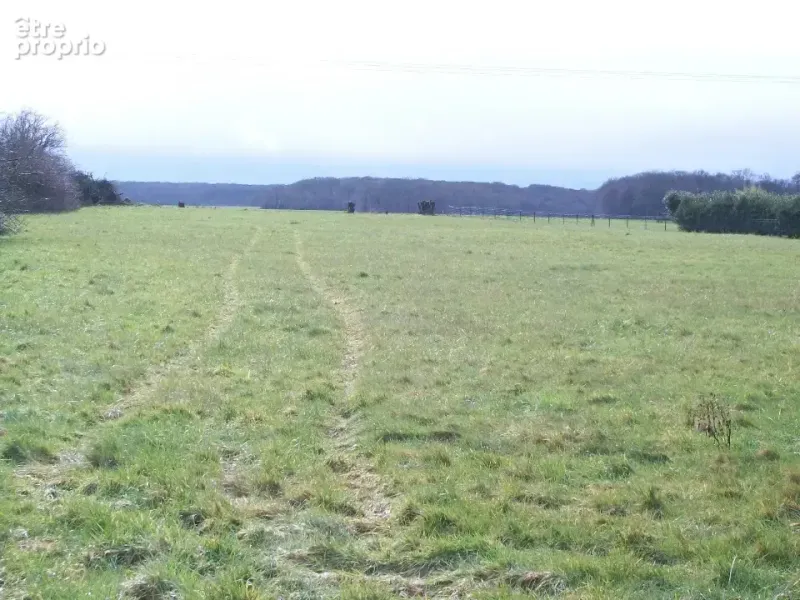 Photo Terrain à Henonville au prix de 104 000€