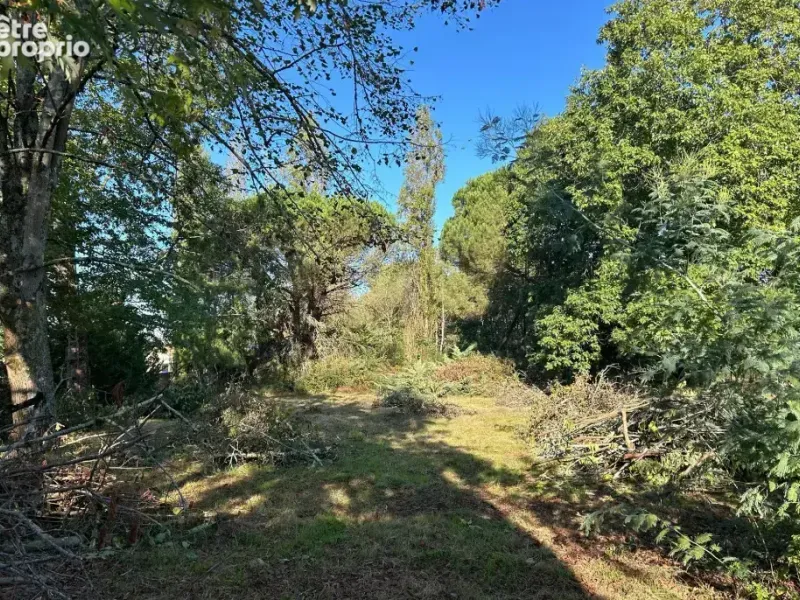 Photo Terrain à Bordeaux au prix de 480 000€
