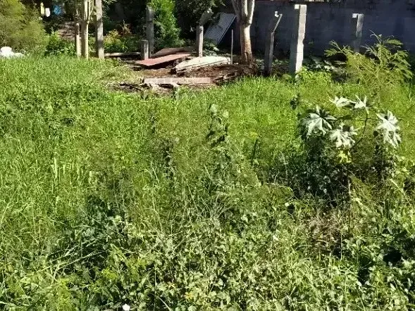 Photo Terrain à Saint-Louis au prix de 139 000€