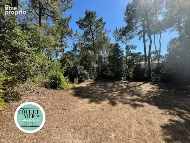 Photo Terrain à Saint-Jean-De-Monts au prix de 99 900€