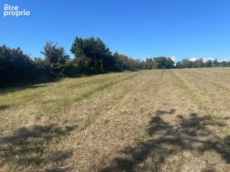 Photo Terrain à Saint-Martin-Lacaussade au prix de 26 500€