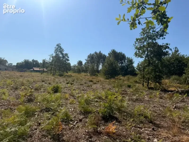 Photo Terrain à Croignon au prix de 95 000€