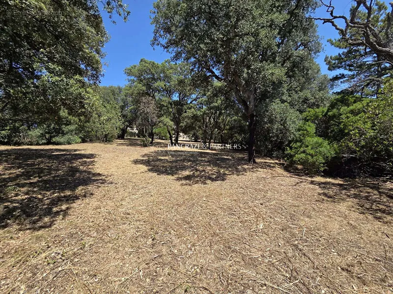 Photo Terrain à Sarrola-Carcopino au prix de 394 800€