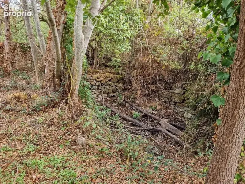 Photo Terrain à Janvry au prix de 190 000€