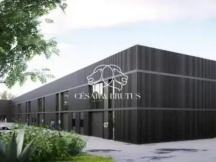 Photo Commerce à Rillieux-La-Pape au prix de 314 150€