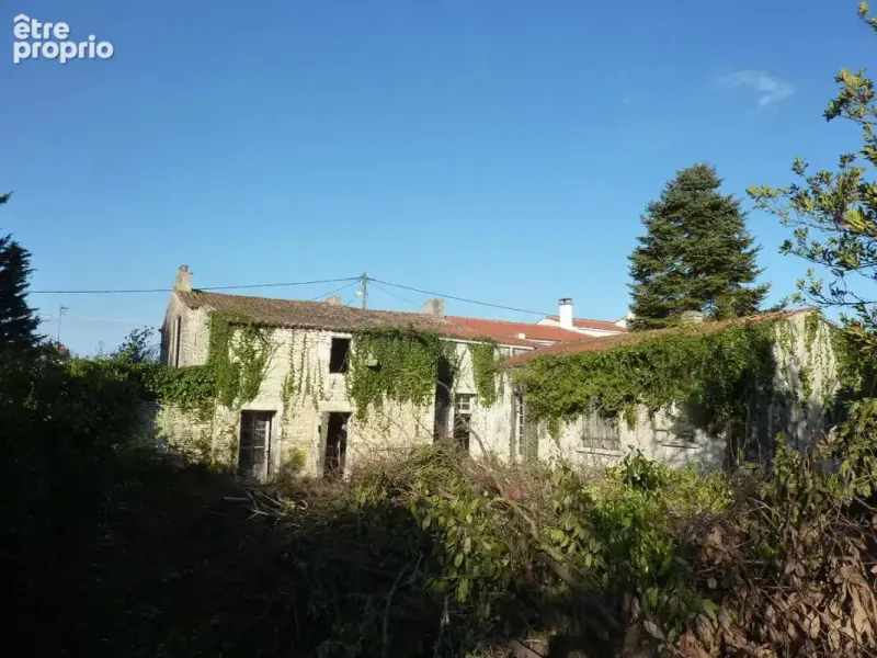Photo Maison à Saint-Pierre-D'oleron au prix de 231 000€