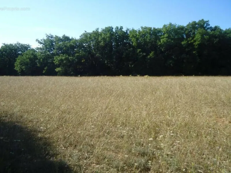 Photo Terrain à Regusse au prix de 66 000€