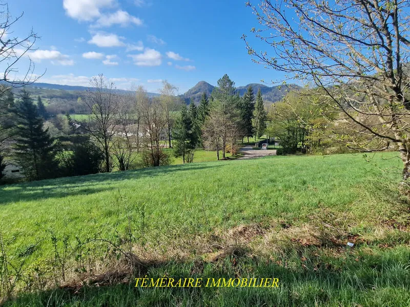 Photo Terrain à Sirod au prix de 57 000€