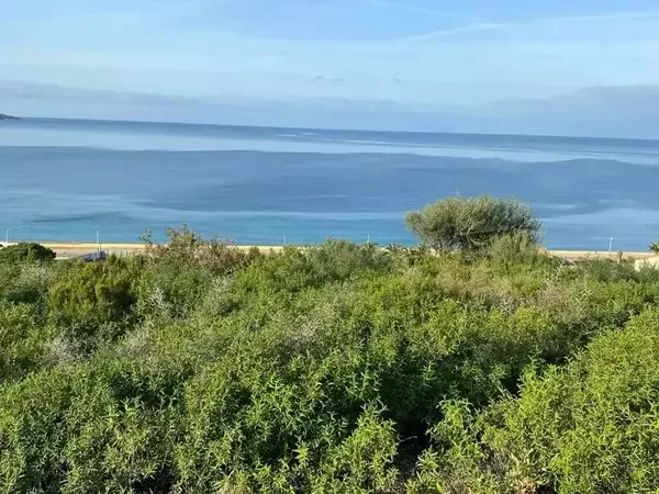 Photo Terrain à Saint-Florent au prix de 700 000€