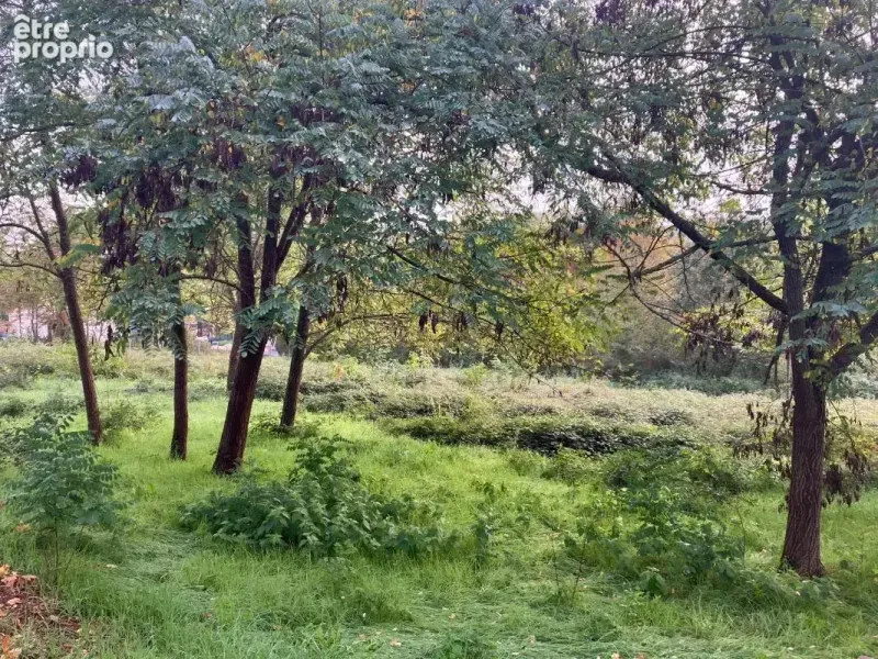 Photo Terrain à Nabirat au prix de 23 400€