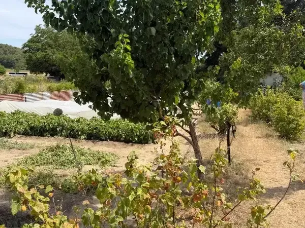 Photo Terrain à Milly-La-Foret au prix de 185 000€