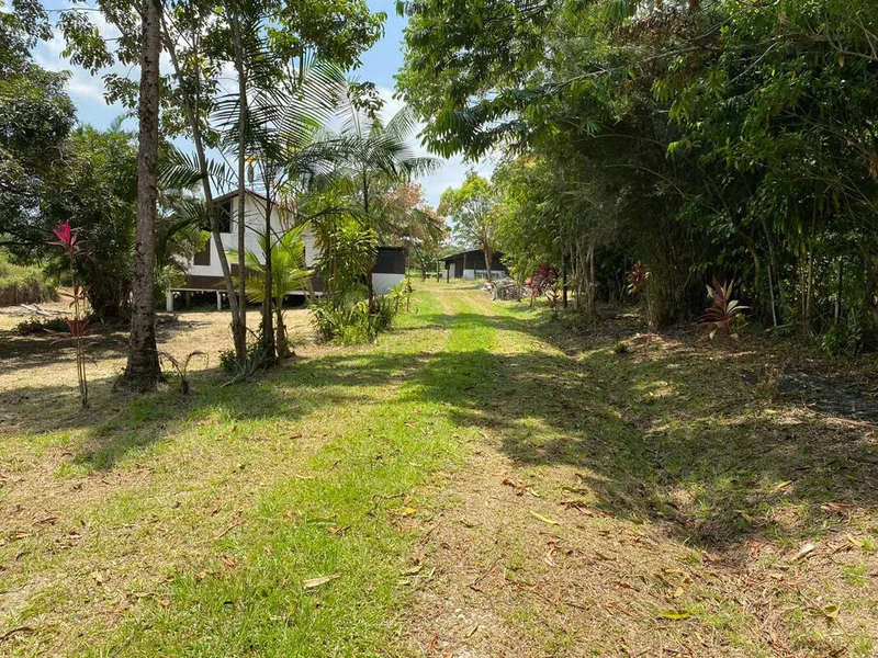 Photo Terrain à Macouria au prix de 397 748€