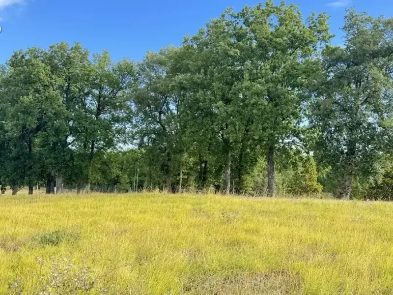 Photo Terrain à Montjoire au prix de 81 000€
