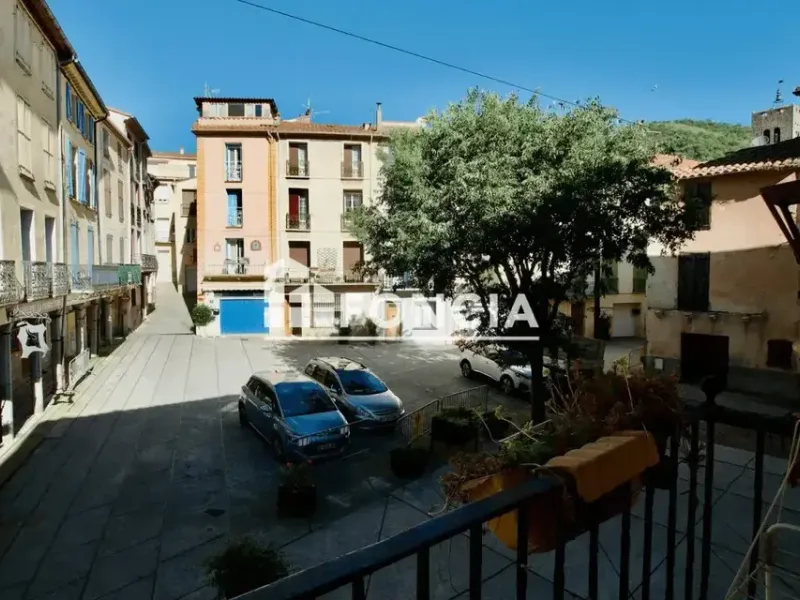 Photo Appartement à Arles-Sur-Tech au prix de 50 000€