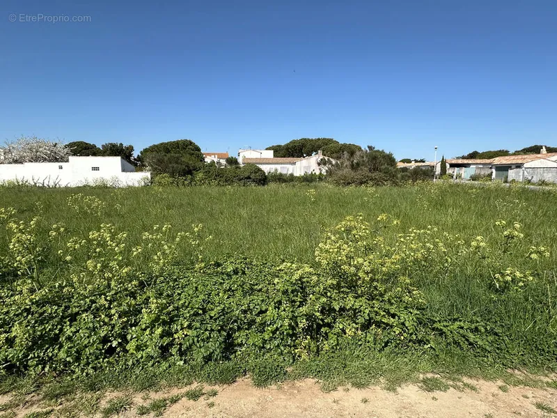 Photo Terrain à Loix au prix de 430 500€