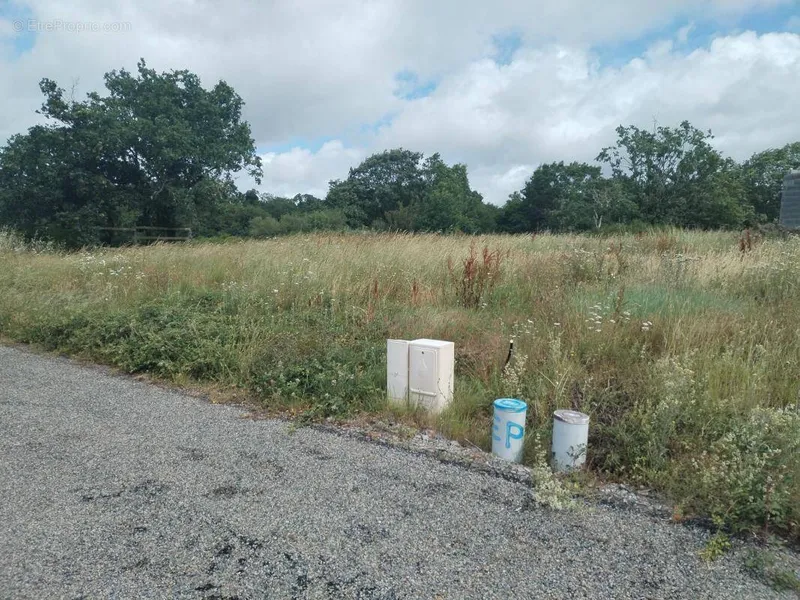 Photo Terrain à La Haie-Fouassiere au prix de 135 000€