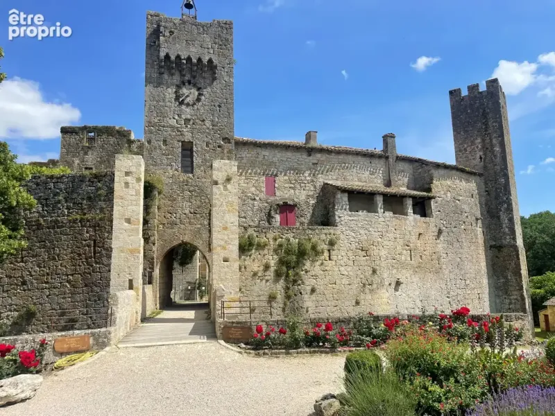 Photo Maison à Larressingle au prix de 450 000€