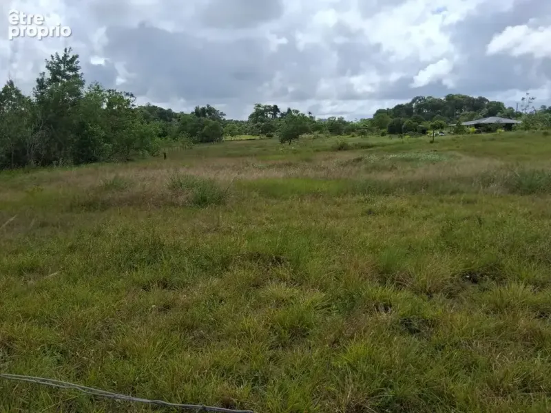 Photo Terrain à Kourou au prix de 182 000€
