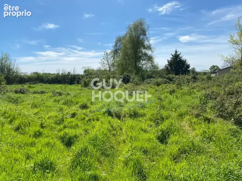 Photo Terrain à Foussais-Payre au prix de 19 500€