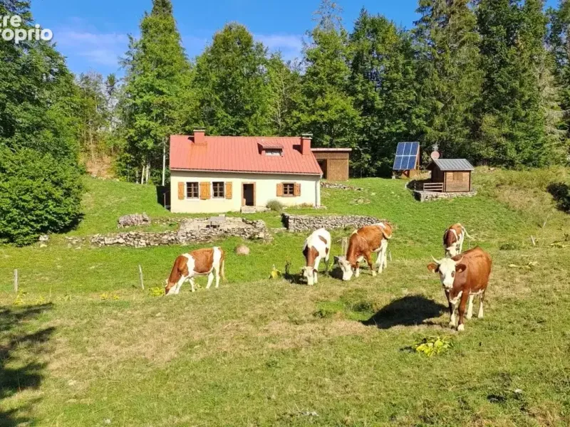 Photo Maison à Lamoura au prix de 360 000€