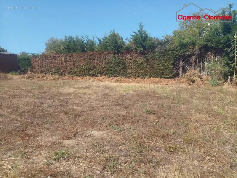 Photo Terrain à L'ile-D'olonne au prix de 138 600€