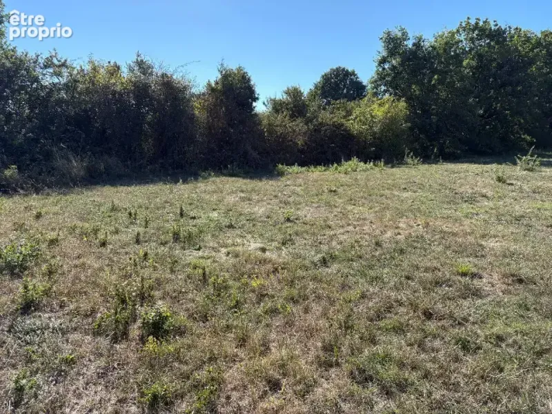 Photo Terrain à Soual au prix de 55 000€