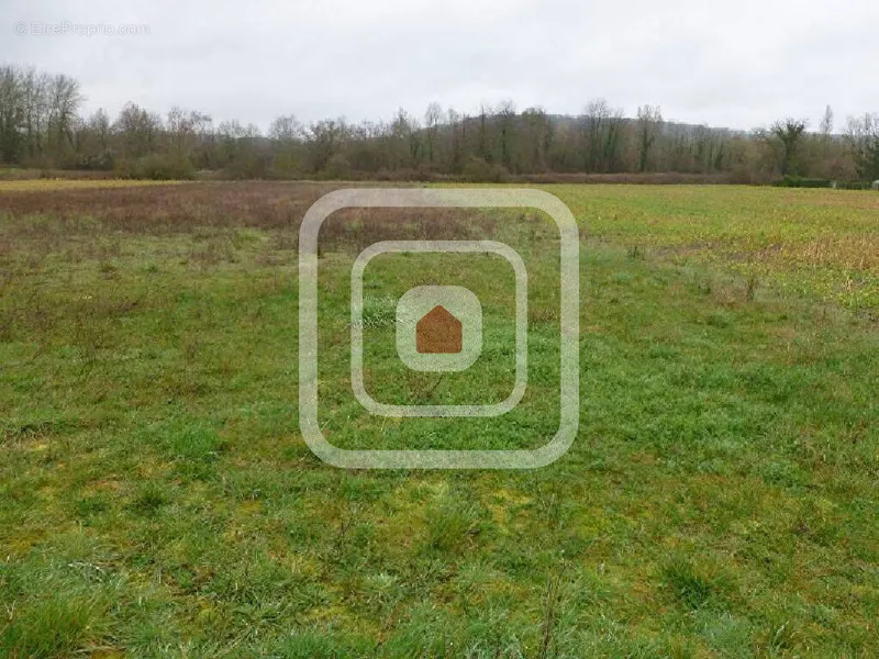 Photo Terrain à Vailly-Sur-Aisne au prix de 59 000€