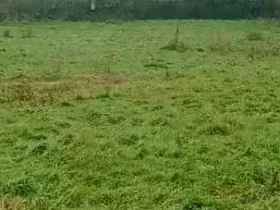 Photo Terrain à Bourgneuf-En-Retz au prix de 98 100€