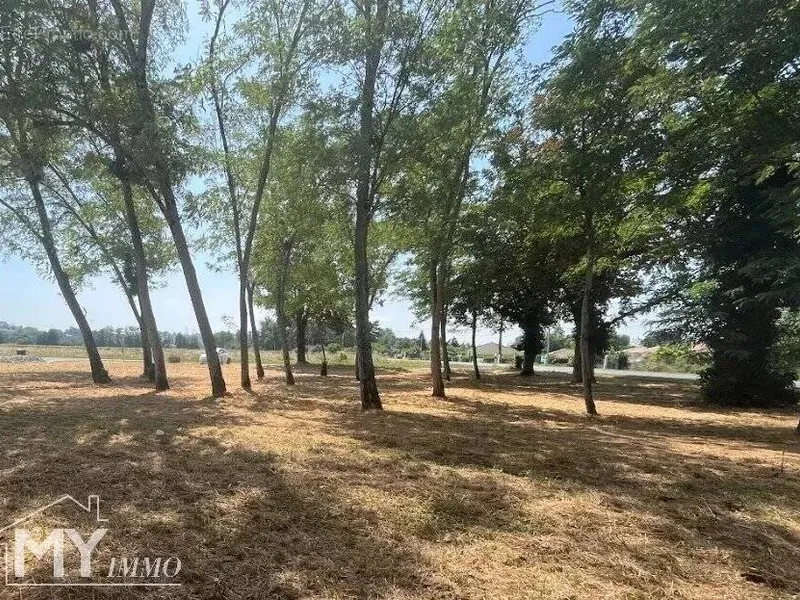 Photo Terrain à Mouliets-Et-Villemartin au prix de 29 000€
