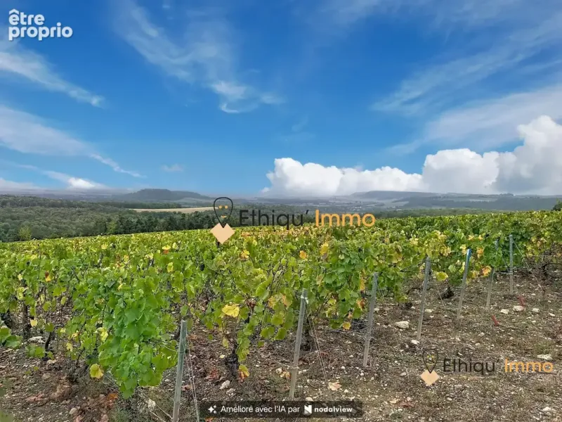 Photo Terrain à Chatillon-Sur-Seine au prix de 4 877 000€