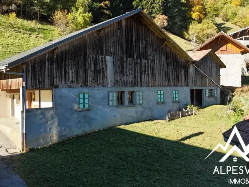 avendre_maison_renovation_labaume_alpesvente
