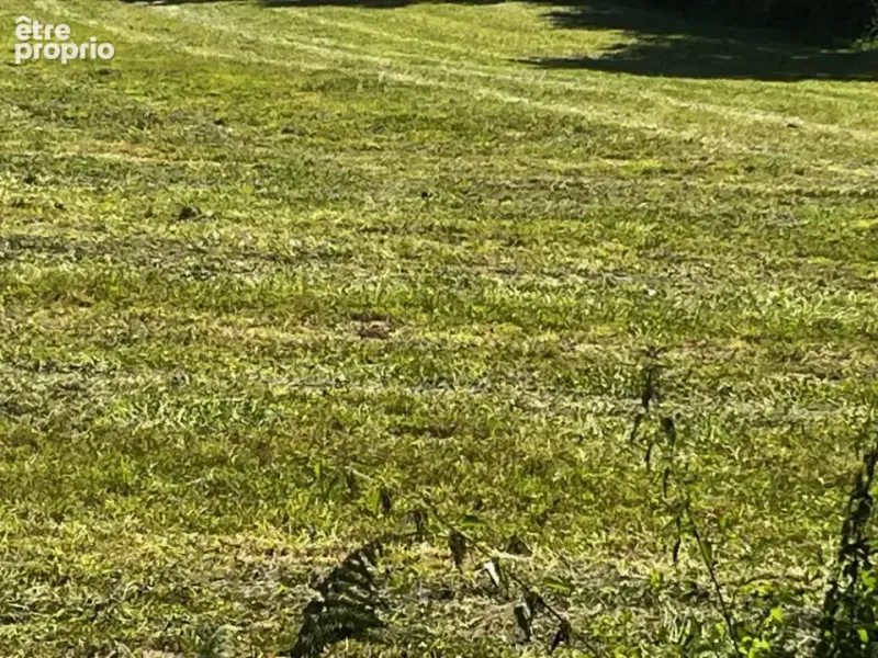 Photo Terrain à Merpins au prix de 50 000€