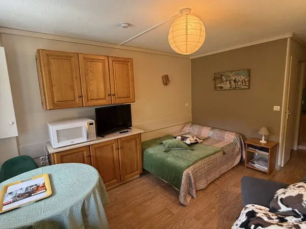 Photo Appartement à Laveissiere au prix de 64 300€