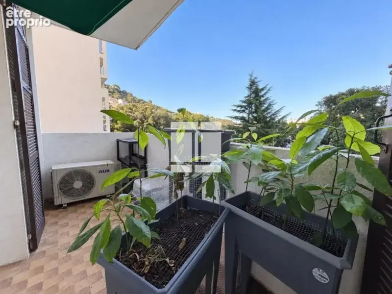 Photo Appartement à Bastia au prix de 119 000€