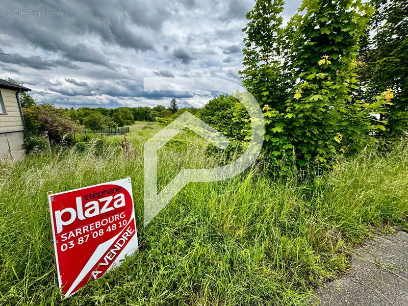 Photo Terrain à Sarrebourg au prix de 49 800€