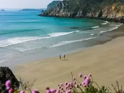 Photo Maison à Telgruc-Sur-Mer au prix de 430 000€