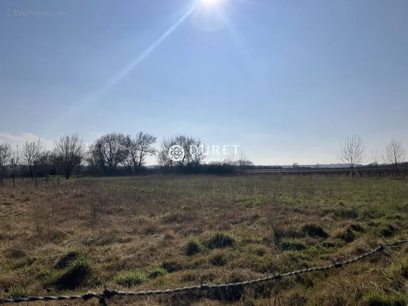 Photo Terrain à Drain au prix de 39 900€
