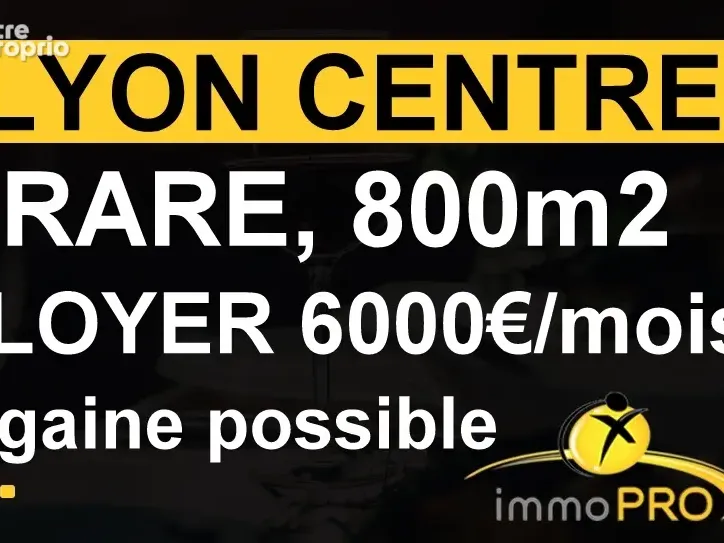 Photo Commerce à Lyon-1e au prix de 690 000€