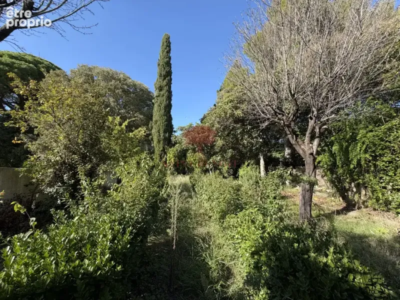 Photo Terrain à Montpellier au prix de 530 000€