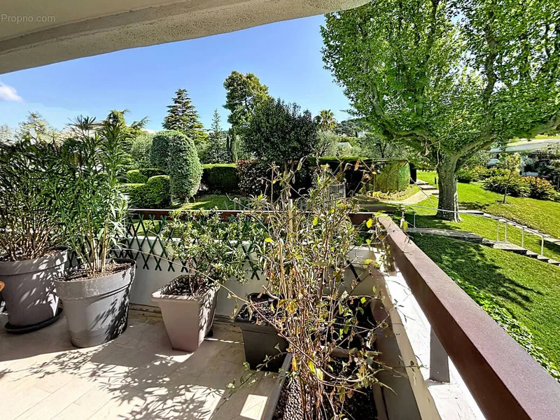 Photo Appartement à Le Cannet au prix de 499 500€
